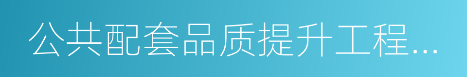 公共配套品质提升工程总体实施方案的同义词