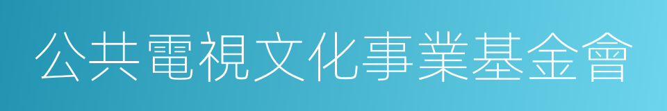 公共電視文化事業基金會的同義詞