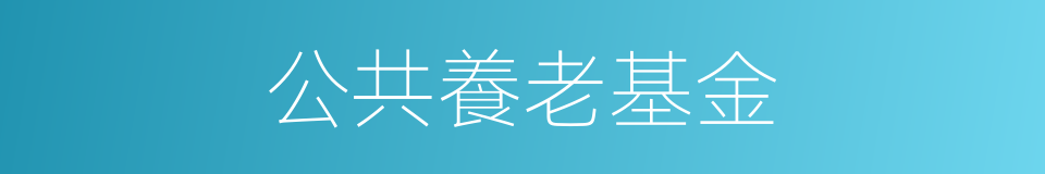 公共養老基金的同義詞