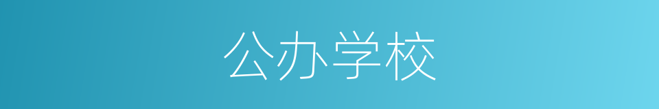 公办学校的同义词