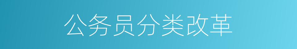 公务员分类改革的同义词