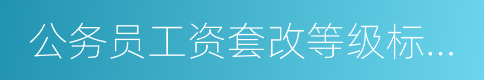 公务员工资套改等级标准对照表的同义词