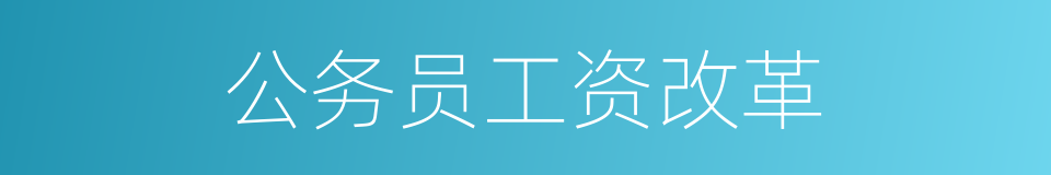公务员工资改革的同义词