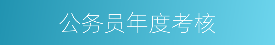公务员年度考核的同义词