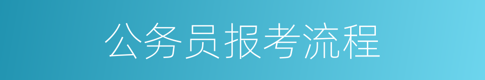 公务员报考流程的同义词