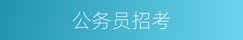 公务员招考的同义词