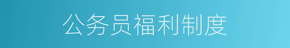 公务员福利制度的同义词