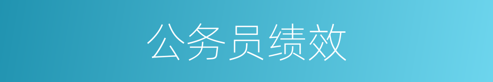 公务员绩效的同义词