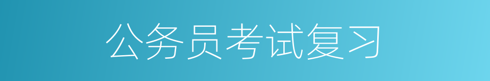 公务员考试复习的同义词