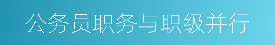 公务员职务与职级并行的同义词
