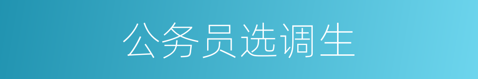 公务员选调生的同义词