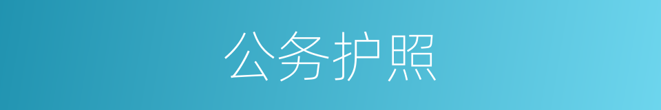 公务护照的同义词