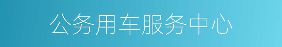 公务用车服务中心的同义词
