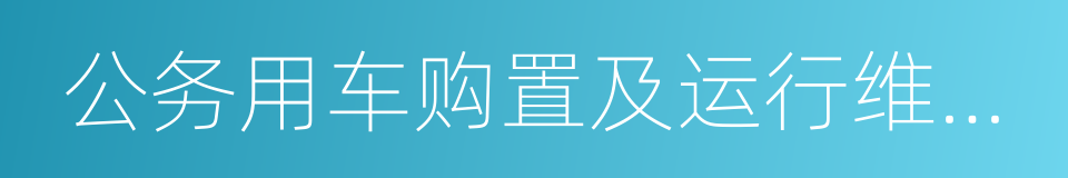 公务用车购置及运行维护费的同义词