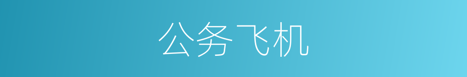 公务飞机的同义词