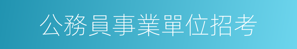 公務員事業單位招考的同義詞