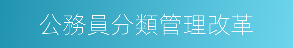 公務員分類管理改革的同義詞