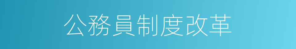 公務員制度改革的同義詞