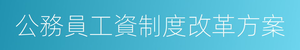 公務員工資制度改革方案的同義詞