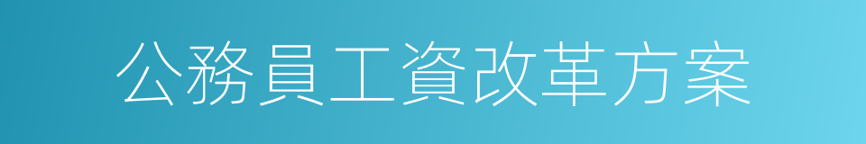 公務員工資改革方案的同義詞