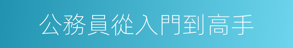 公務員從入門到高手的同義詞