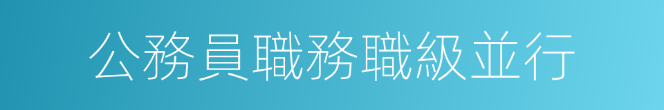 公務員職務職級並行的同義詞