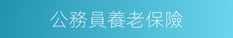 公務員養老保險的同義詞