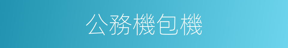 公務機包機的同義詞