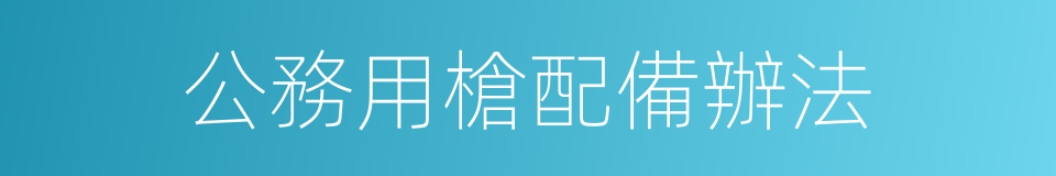 公務用槍配備辦法的同義詞