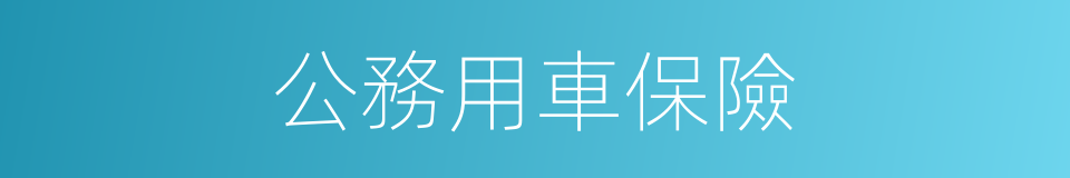 公務用車保險的同義詞