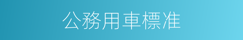公務用車標准的同義詞