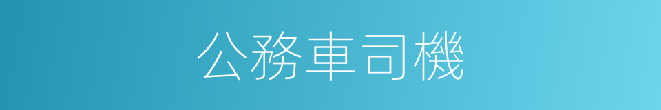 公務車司機的同義詞