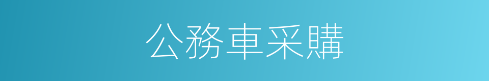 公務車采購的同義詞