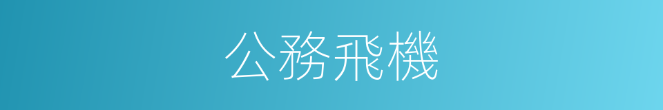 公務飛機的同義詞
