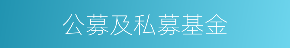 公募及私募基金的同义词