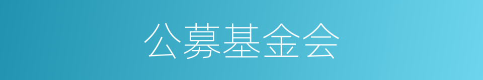 公募基金会的同义词