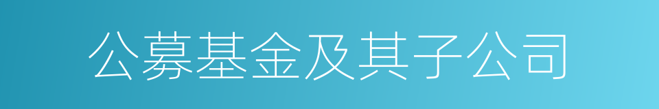 公募基金及其子公司的同义词