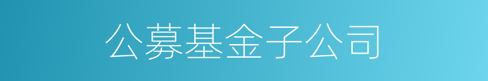 公募基金子公司的同义词