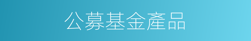 公募基金產品的同義詞