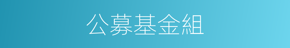 公募基金組的同義詞