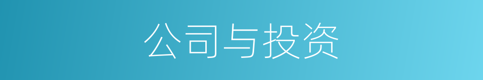 公司与投资的同义词
