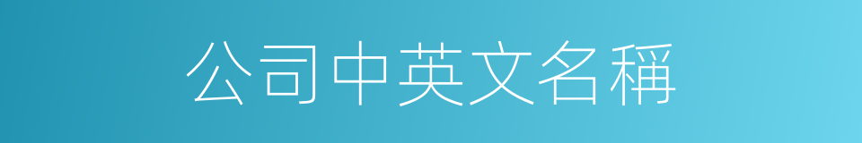 公司中英文名稱的同義詞