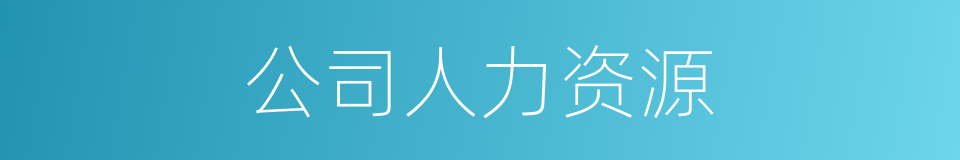 公司人力资源的同义词