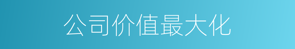 公司价值最大化的同义词