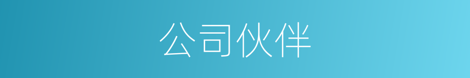 公司伙伴的同义词