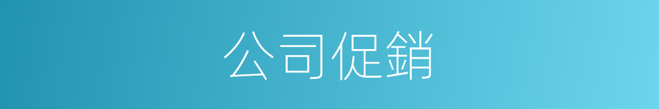 公司促銷的同義詞