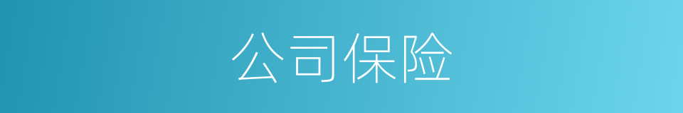 公司保险的同义词