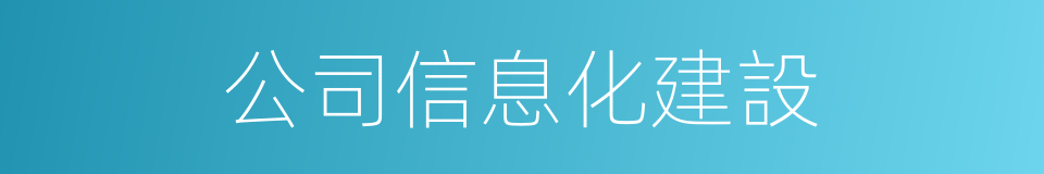 公司信息化建設的同義詞