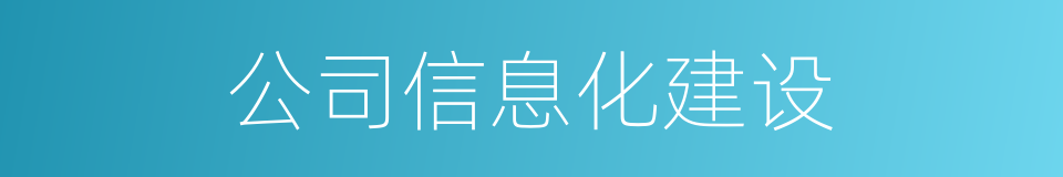 公司信息化建设的同义词