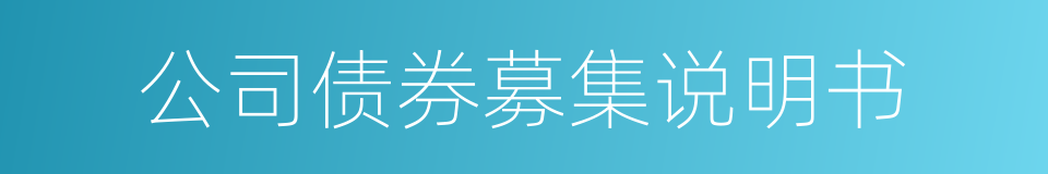 公司债券募集说明书的同义词